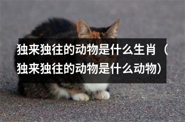 <h3>独来独往的动物是什么生肖（独来独往的动物是什么动物）
