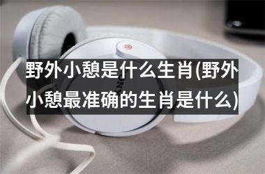<h3>野外小憩是什么生肖(野外小憩准确的生肖是什么)