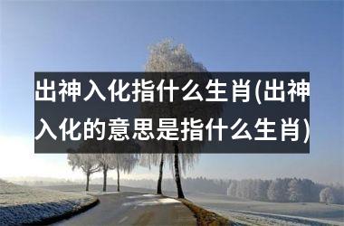 出神入化指什么生肖(出神入化的意思是指什么生肖)