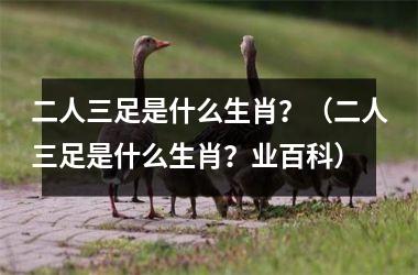 二人三足是什么生肖？（二人三足是什么生肖？业百科）