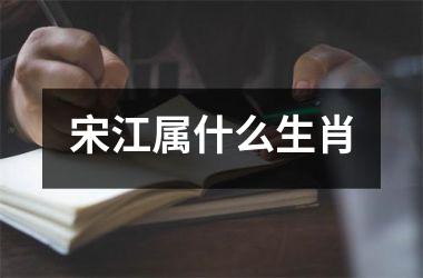 <h3>宋江属什么生肖