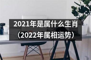 2025年是属什么生肖（2025年属相运势）