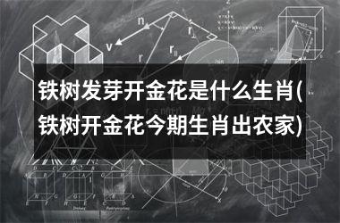 铁树发芽开金花是什么生肖(铁树开金花今期生肖出农家)
