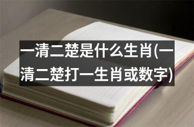 一清二楚是什么生肖(一清二楚打一生肖或数字)
