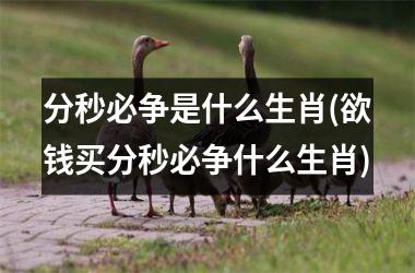 <h3>分秒必争是什么生肖(欲钱买分秒必争什么生肖)