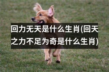 <h3>回力无天是什么生肖(回天之力不足为奇是什么生肖)