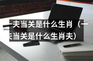 <h3>一夫当关是什么生肖（一夫当关是什么生肖夫）