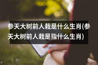 <h3>参天大树前人栽是什么生肖(参天大树前人栽是指什么生肖)