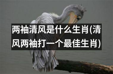 <h3>两袖清风是什么生肖(清风两袖打一个佳生肖)