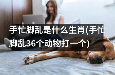 手忙脚乱是什么生肖(手忙脚乱36个动物打一个)