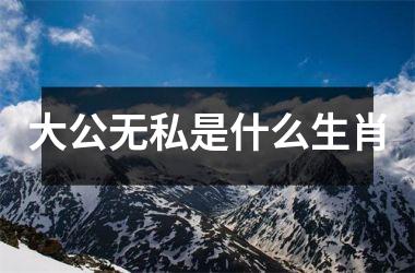 <h3>大公无私是什么生肖