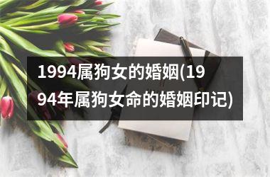 1994属狗女的婚姻(1994年属狗女命的婚姻印记)