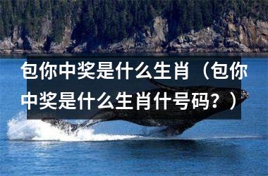 <h3>包你中奖是什么生肖（包你中奖是什么生肖什号码？）