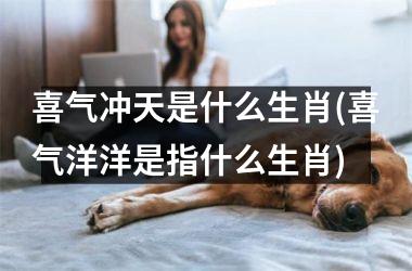 喜气冲天是什么生肖(喜气洋洋是指什么生肖)