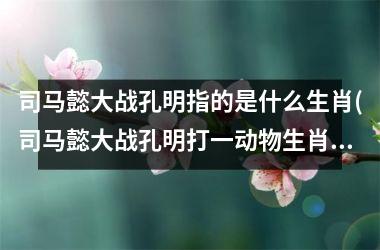 司马懿大战孔明指的是什么生肖(司马懿大战孔明打一动物生肖)