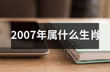 <h3>2007年属什么生肖
