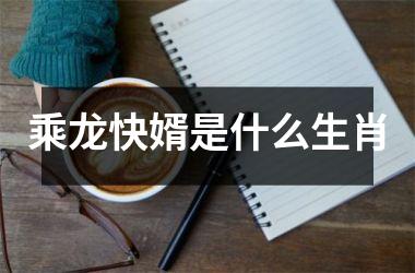 乘龙快婿是什么生肖