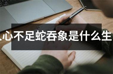 人心不足蛇吞象是什么生肖