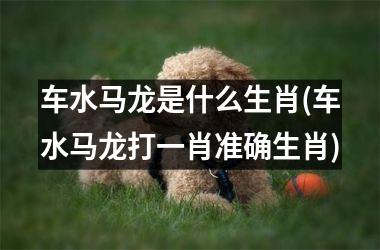 <h3>车水马龙是什么生肖(车水马龙打一肖准确生肖)