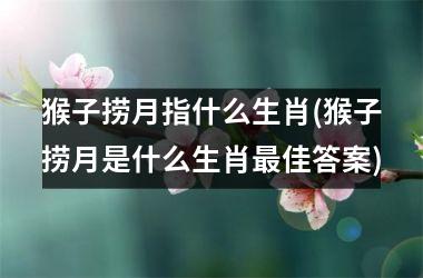 猴子捞月指什么生肖(猴子捞月是什么生肖佳答案)