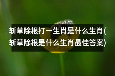 <h3>斩草除根打一生肖是什么生肖(斩草除根是什么生肖佳答案)