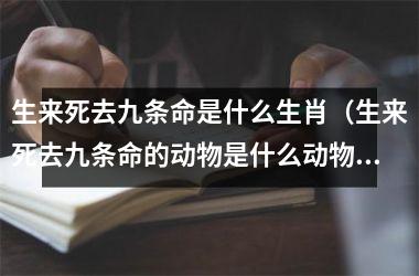 <h3>生来死去九条命是什么生肖（生来死去九条命的动物是什么动物）