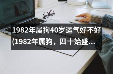 1982年属狗40岁运气好不好(1982年属狗，四十始盛运！)