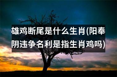 <h3>雄鸡断尾是什么生肖(阳奉阴违争名利是指生肖鸡吗)