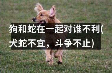 <h3>狗和蛇在一起对谁不利(犬蛇不宜，斗争不止)