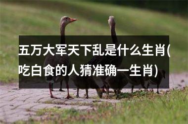 <h3>五万大军天下乱是什么生肖(吃白食的人猜准确一生肖)