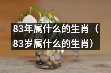 83年属什么的生肖（83岁属什么的生肖）