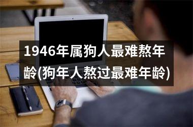 1946年属狗人难熬年龄(狗年人熬过难年龄)