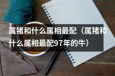 <h3>属猪和什么属相配（属猪和什么属相配97年的牛）