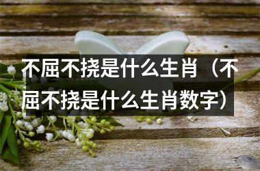 <h3>不屈不挠是什么生肖（不屈不挠是什么生肖数字）