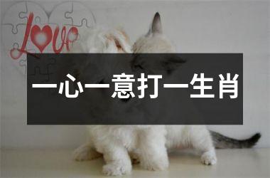 <h3>一心一意打一生肖