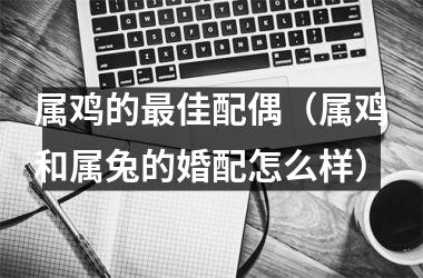 <h3>属鸡的佳配偶（属鸡和属兔的婚配怎么样）