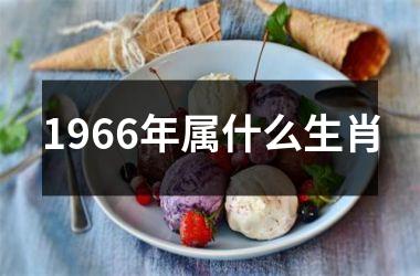 <h3>1966年属什么生肖