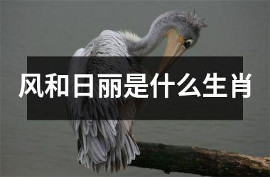 <h3>风和日丽是什么生肖