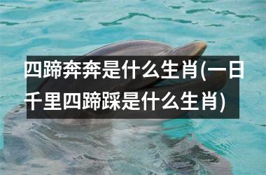 <h3>四蹄奔奔是什么生肖(一日千里四蹄踩是什么生肖)