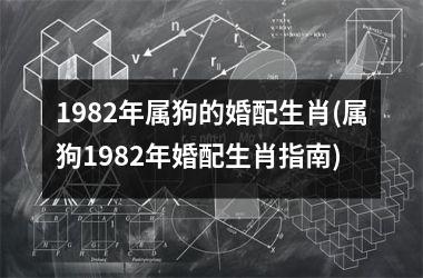 1982年属狗的婚配生肖(属狗1982年婚配生肖指南)