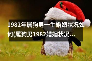 <h3>1982年属狗男一生婚姻状况如何(属狗男1982婚姻状况解析)