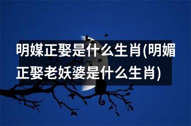 <h3>明媒正娶是什么生肖(明媚正娶老妖婆是什么生肖)
