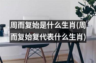周而复始是什么生肖(周而复始复代表什么生肖)