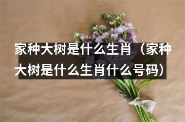 <h3>家种大树是什么生肖（家种大树是什么生肖什么号码）