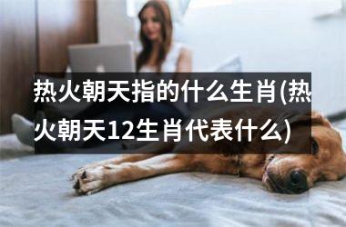 热火朝天指的什么生肖(热火朝天12生肖代表什么)