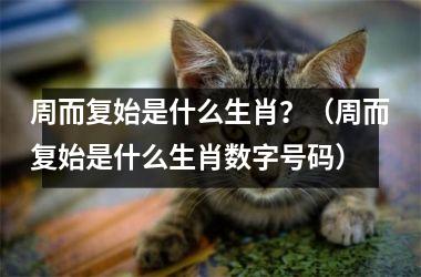 <h3>周而复始是什么生肖？（周而复始是什么生肖数字号码）