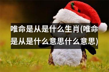 <h3>唯命是从是什么生肖(唯命是从是什么意思什么意思)
