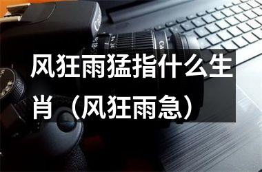 风狂雨猛指什么生肖（风狂雨急）