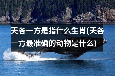 <h3>天各一方是指什么生肖(天各一方准确的动物是什么)