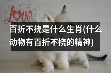 百折不挠是什么生肖(什么动物有百折不挠的精神)